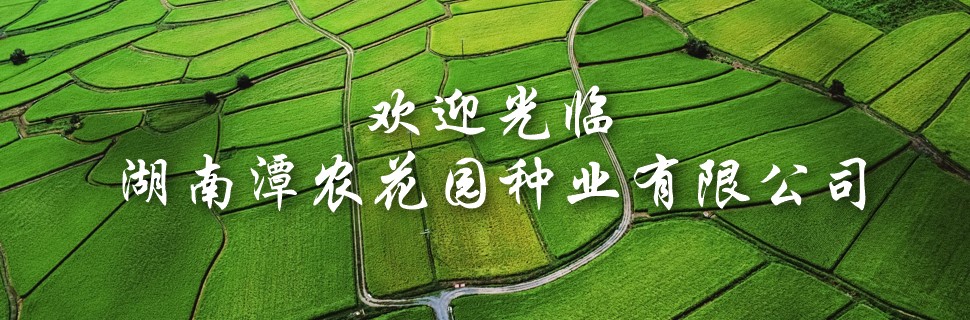 湖南潭农花园种业有限公司